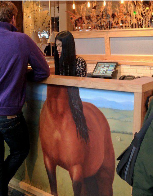 
               Meilleures images droles  Femme à cheval sur les principes 
              