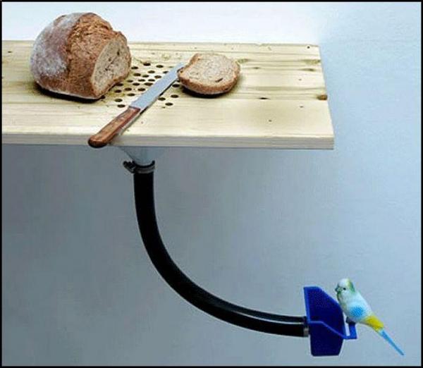 
               Meilleures image drole  Bonne idée 
              