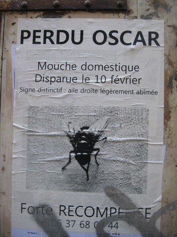 
               Meilleures images marrantes  WANTED 
              