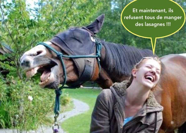 
               Meilleure photo blague  Histoire drôle 
              