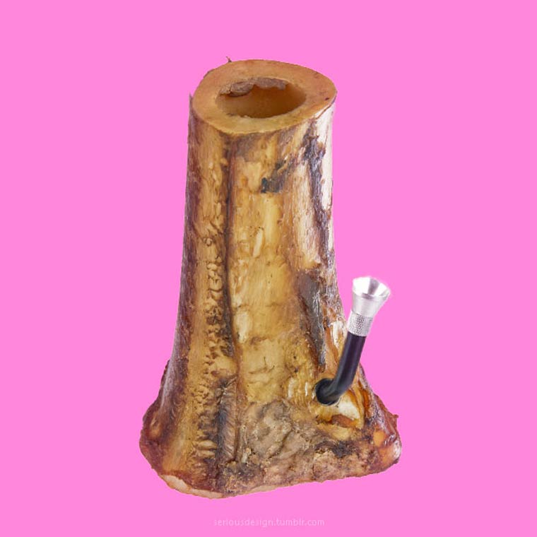 
               Meilleure image drole  une chicha qui a la moelle 
              