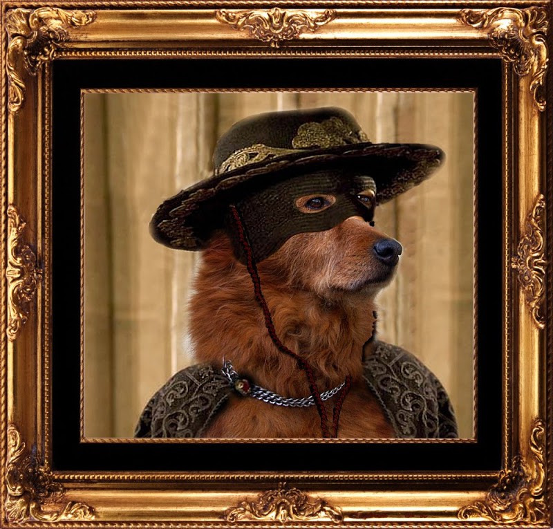 
               Meilleures images drôles  zorro est arrivé 
              