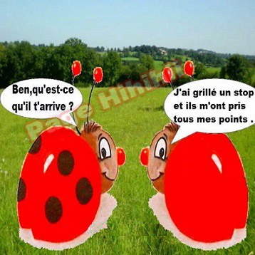 
               Meilleure photo blague  fallait faire gaffe 
              