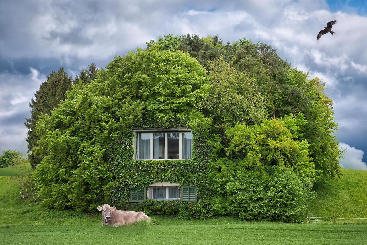  Image originale  le maçon a la main verte , photo blague
              