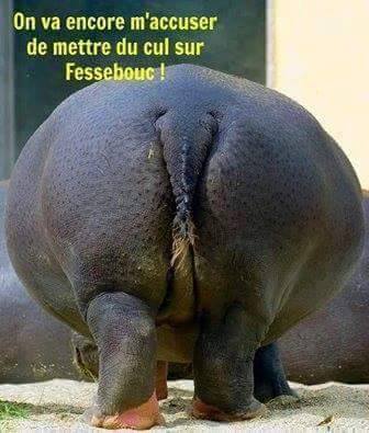 
                fesse bouc exagère parfois 
              