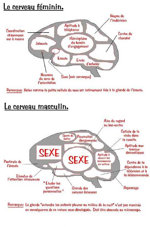 
               Meilleures images drôles  Biologie 
              