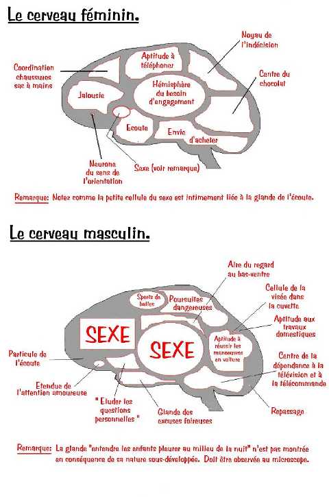  Image marrante  Biologie 
              