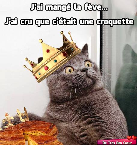 
               Meilleures image drole  Le chat roi 
              