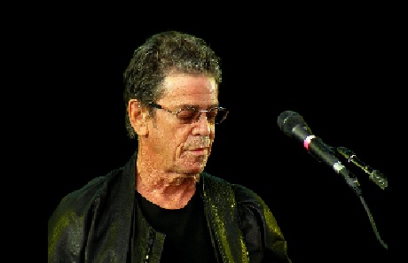 
               Meilleure photo blague  Hommage à Lou Reed ♫ ♫ ♫ 
              