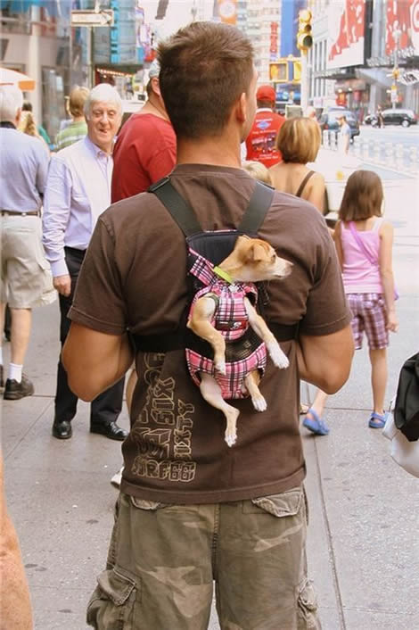 
               Meilleures images blagues  EN ROUTE POUR LES COURSES 
              