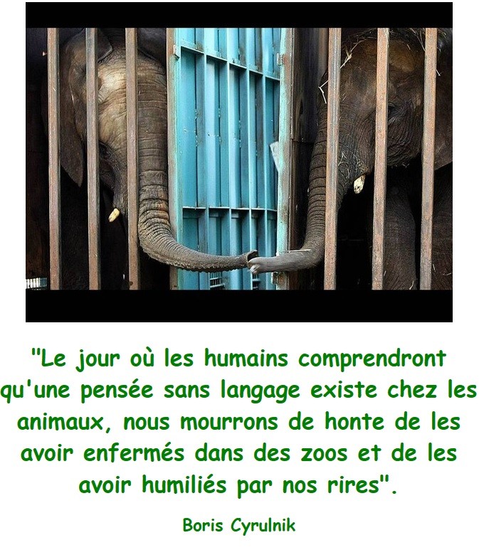 
               Meilleure image drole  Boris Cyrulnik est, entre autres, engagé pour la protection de la nature e
              