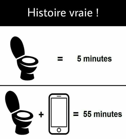  Image rigolote  histoire vraie , photo blague
              