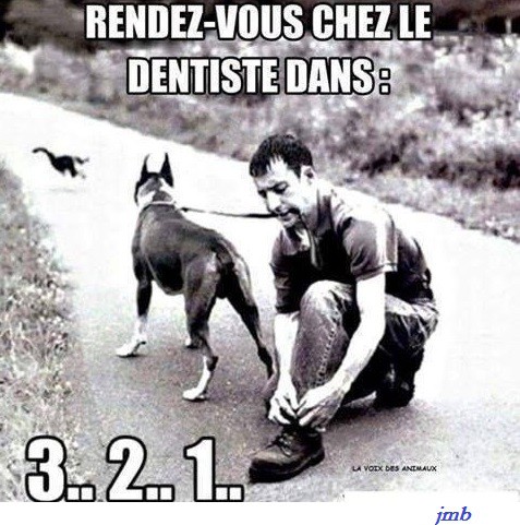 
               Meilleures images droles  Promenade de santé ? 
              