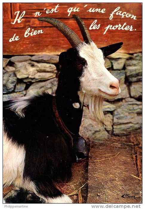 
               Meilleures images drôles  exact 
              