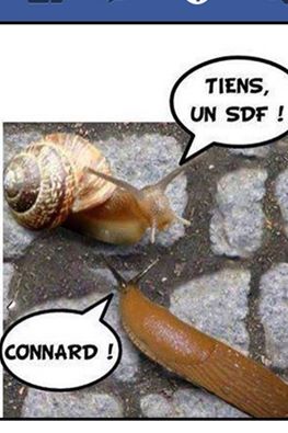 
               Meilleures image drole  sdf 
              
