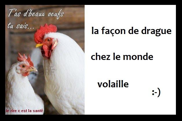 
               Meilleure image drole  je le sais 
              