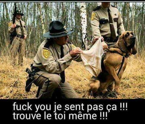 
               Meilleures images droles  BON CHIEN POLICIER 
              