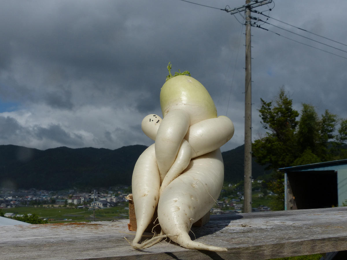  Image drôle  mes vacances au Japon, comment je me suis radical
              