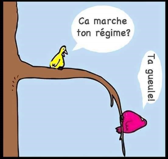 
               Meilleures image drole  Régime 
              
