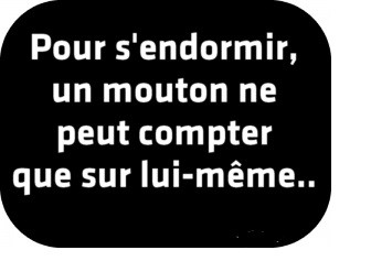 
               Meilleures image drole  bonne nuit... 
              