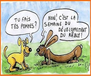 
               Meilleures images droles  je n'aime pas le lapin 
              