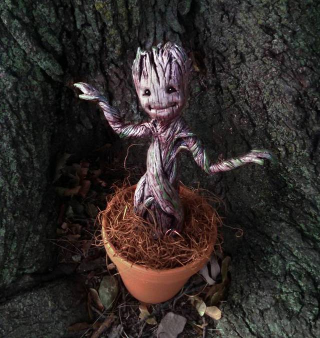 
               Meilleures image drole  Un Elfe des Bois 
              
