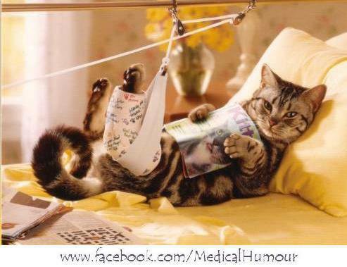 
               Meilleures images droles  accident du travail 
              