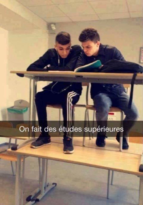 
               Meilleures image drole  redescendons sur terre et allons bosser 
              