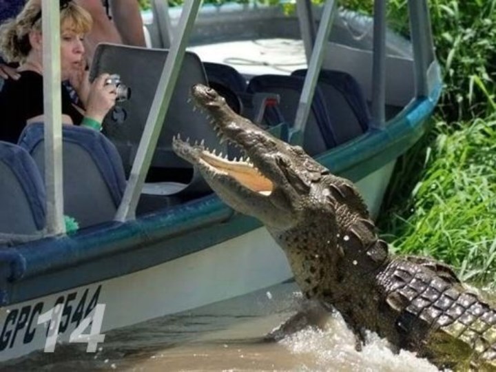 
               Meilleure photo blague  J'avais dis pas de photos ! 
              