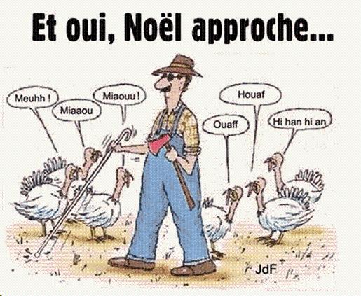 
               Meilleure photo blague  Pas si 'dinde' que ça ! 
              