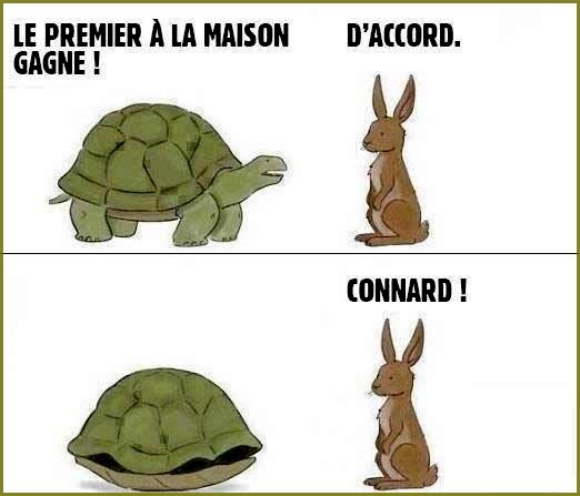 
               Meilleures image drole  Vilaine tortue 
              