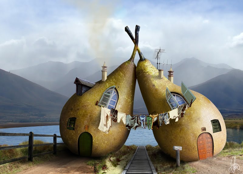
               Meilleures images droles  aimons la nature 
              