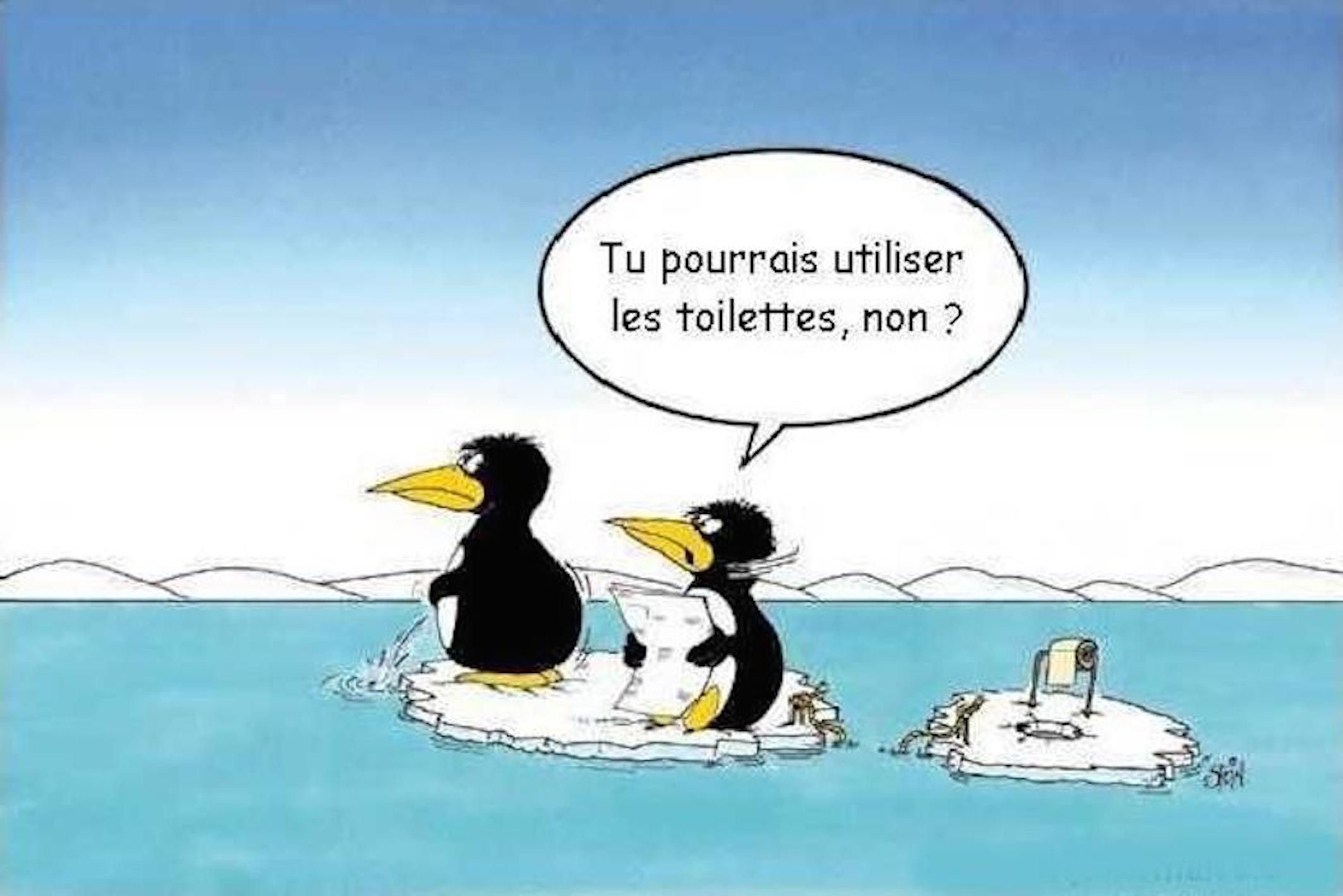  Image rigolote  Paroles de femmes. , photo blague
              