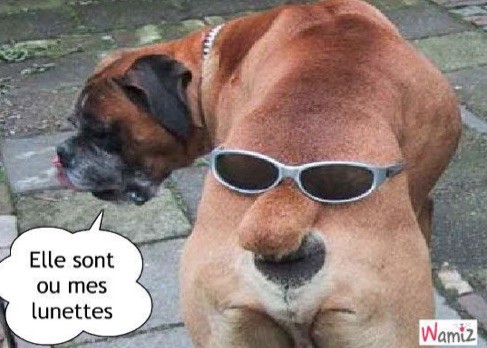 
               Meilleures image drole  Il faut voir la vie du bon côté 
              
