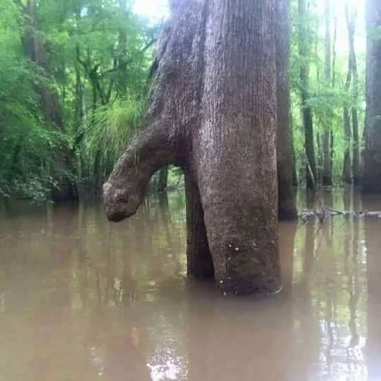 
               Meilleures image drole  L'eau est très froide... 
              