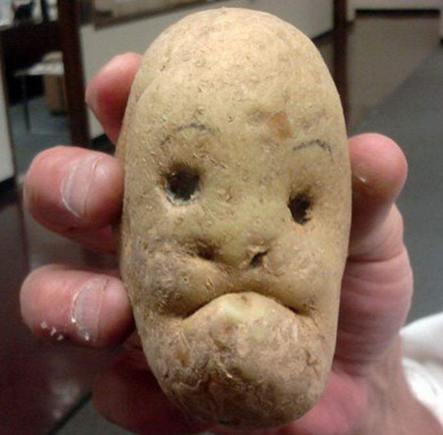  Image amusante  Monsieur patate , photo blague
              