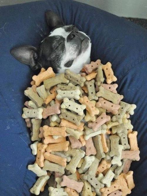 
               Meilleure image drole  Raaaaahh !!! 
              