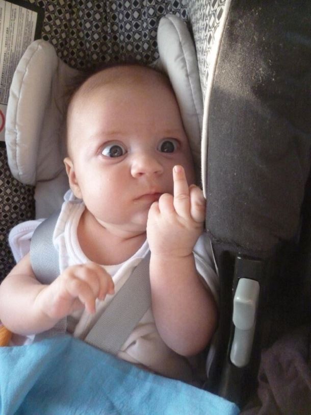 
               Meilleures images droles  il n'aime pas les yatistes 
              
