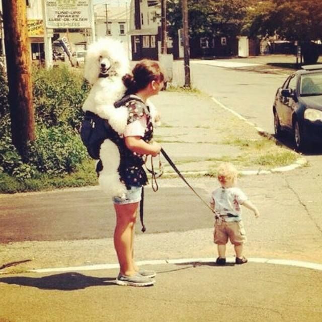  Image cocasse  Une mère organisée , photo blague
              