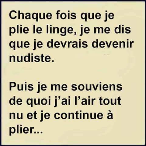 
               Meilleures image drole  Repassage et nudisme ne font pas bon ménage 
              
