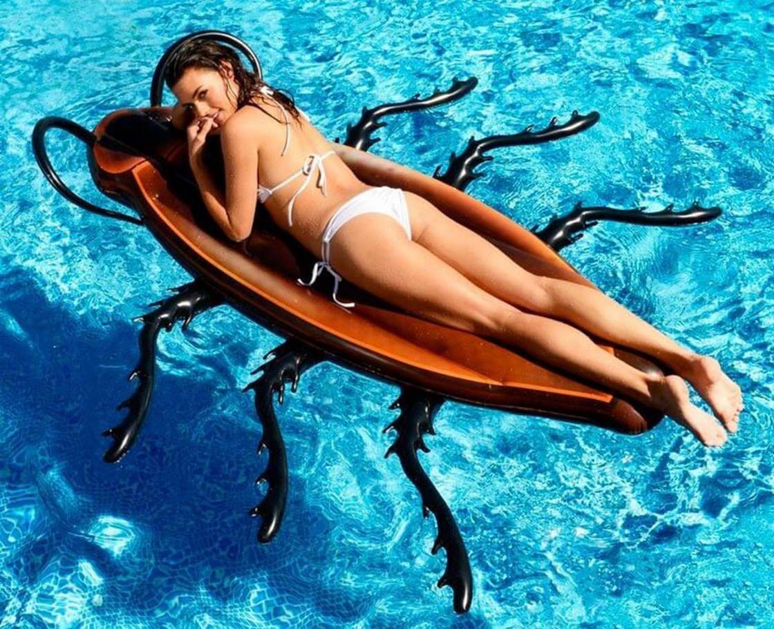 
               Meilleures image drole  un matelas de piscine original, par ces grosses c
              