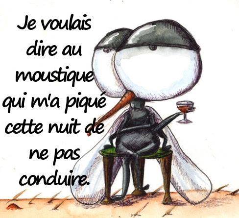 Image comique Après Piqûre Moustique , photo blague