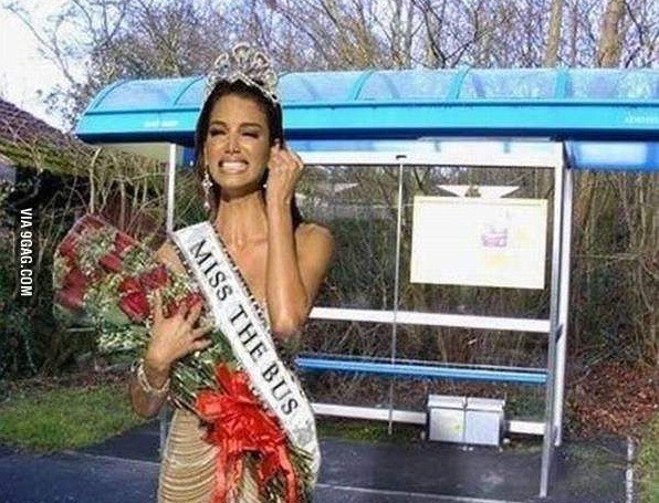  Image plaisante  Miss Bus ♥ , photo blague
              