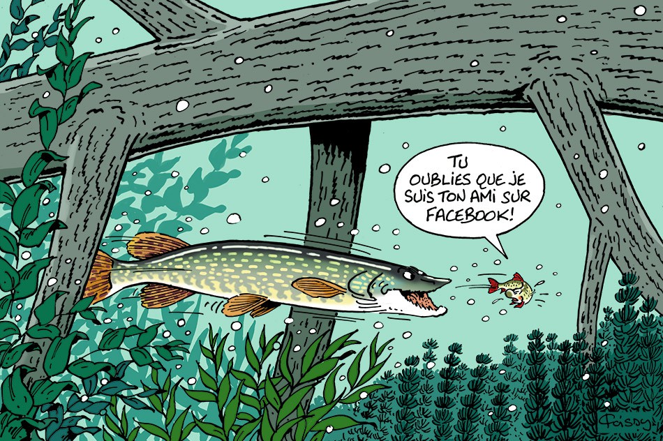 
               Meilleures images droles  facebook 
              