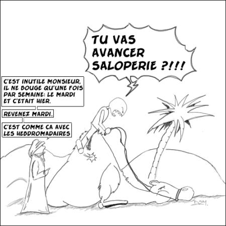 
               Meilleures image drole  Hedbromadaire 
              