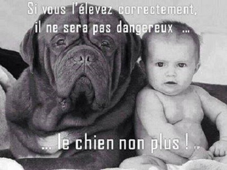  Image marrante  prenez soin d'eux , photo blague
              