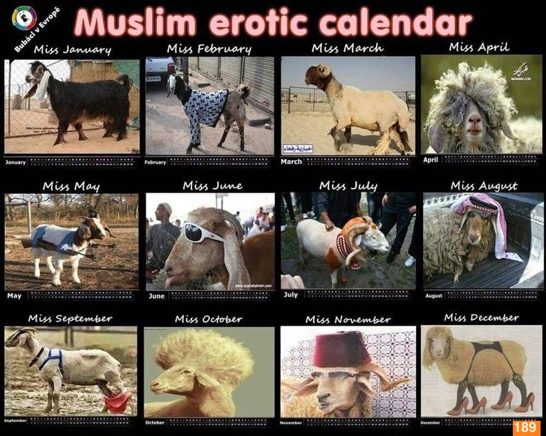 
               Meilleure photo blague  calendrier sexy 
              