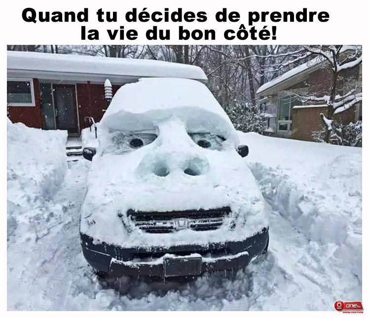 
               Meilleure image drole  restons couchés ! 
              