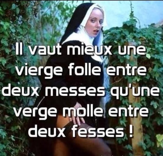 
               Meilleure image drole  C'était le dicton du jour ! 
              