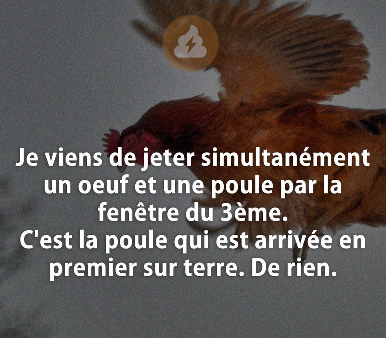 
               Meilleures images droles  affaire enfin classée 
              